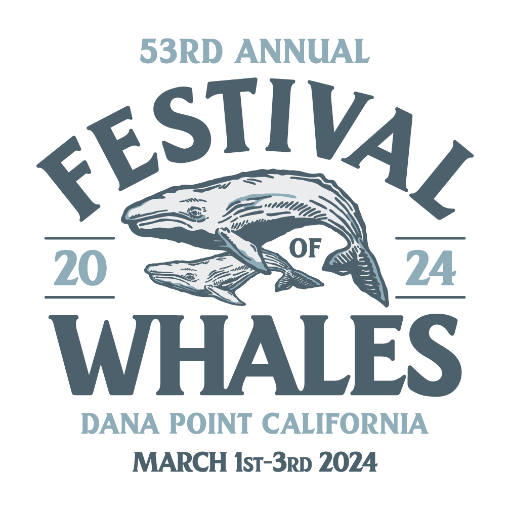 Festival Of Whales
